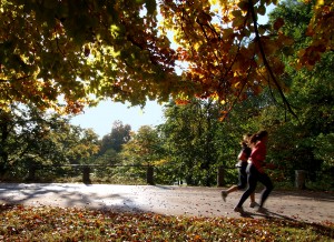 Tips for Fall Fitness